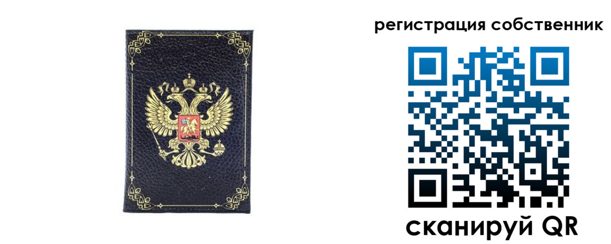 прописка законно в Чкаловске